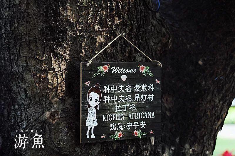 穿重要还是脸好看重要?游戏画面